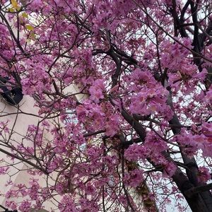 Meet your Posher, Evgeniia